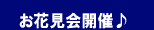 お花見会開催
